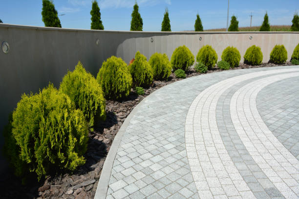 Reasons to Select Us for Your Driveway Paving Requirements in Berwyn Heights, MD